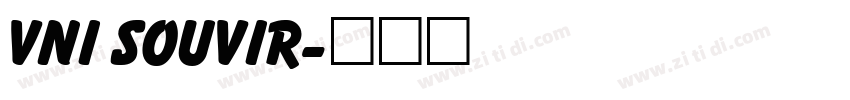VNI Souvir字体转换